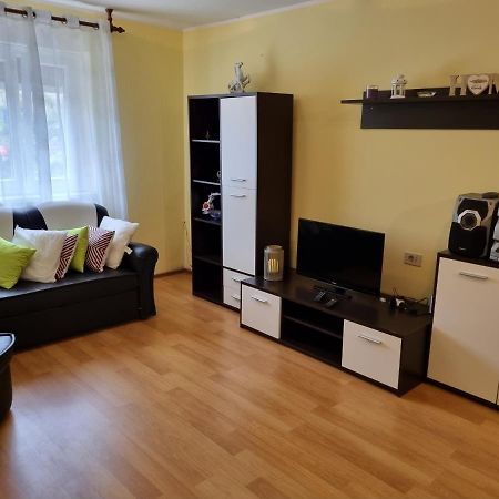 Apartment Sanja Пазин Екстер'єр фото